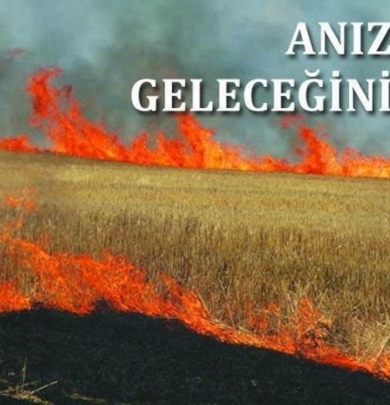 Anız Yangınları